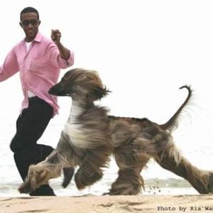 Meet your Posher, Robert